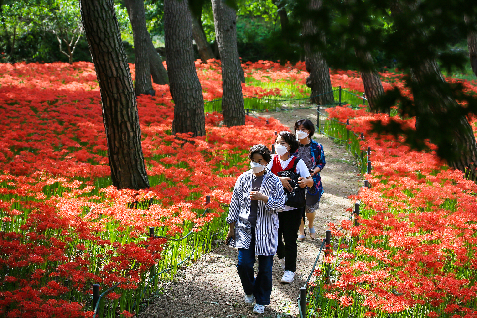 성주산 산책사진