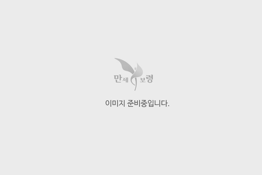 미가일식